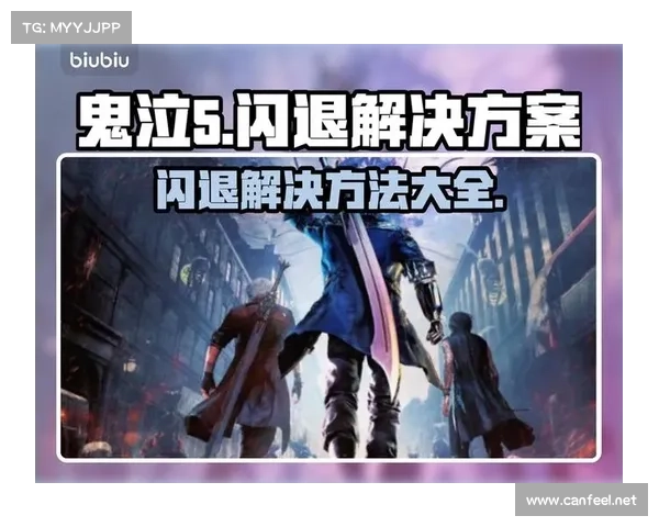 鬼泣5学技能闪退解决方案